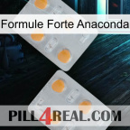 Anaconda Strong Formula 25